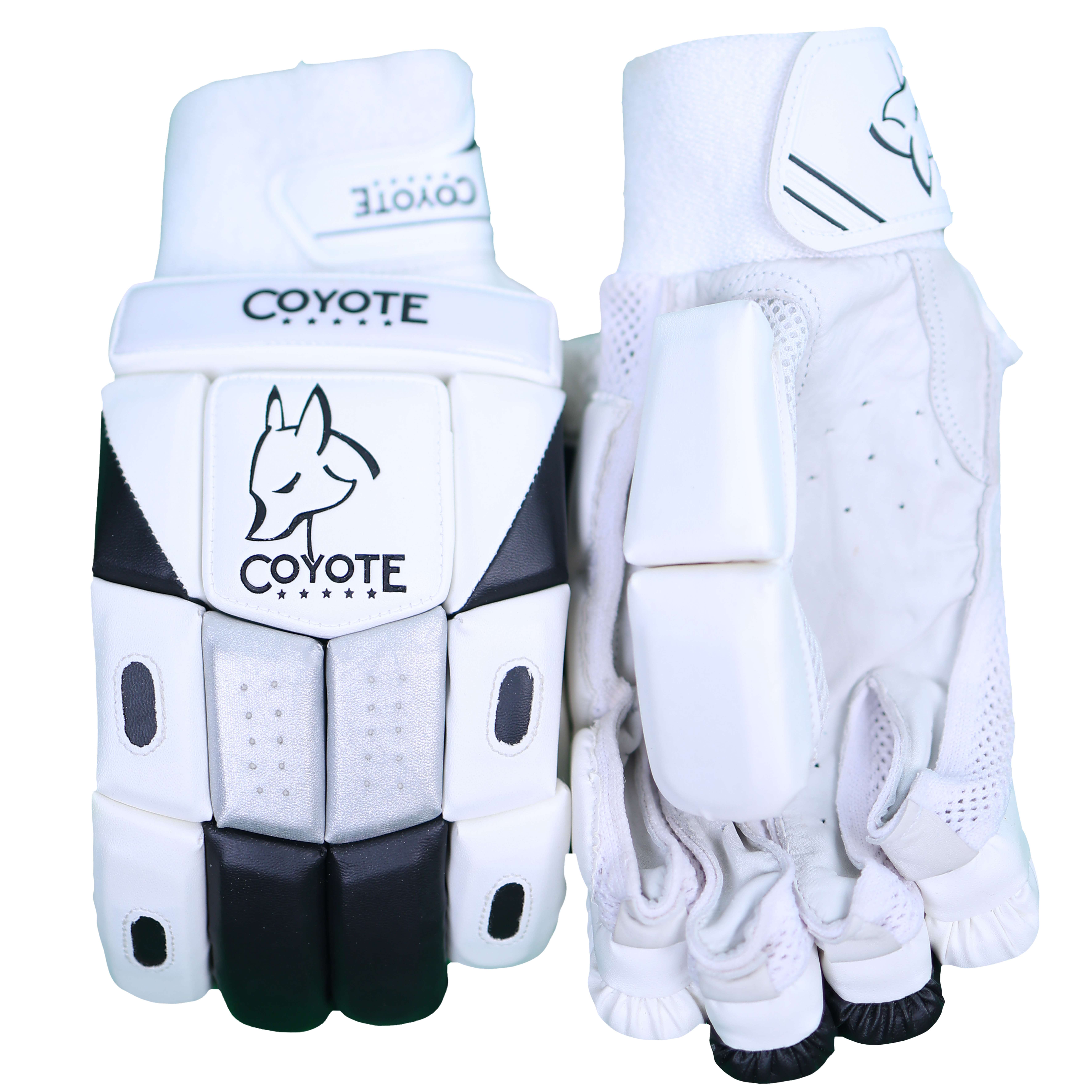 Cricket Shoes