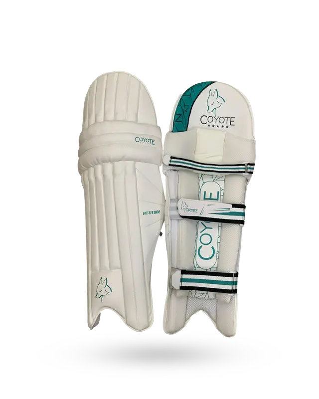 CRICKET ACCESSORIES