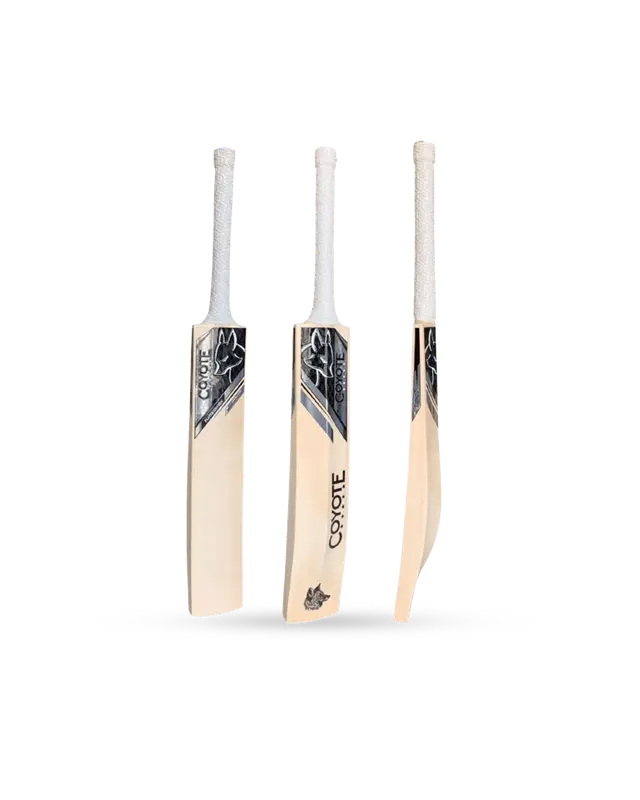 Bats
