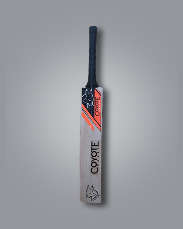PLAYER EDITION 
