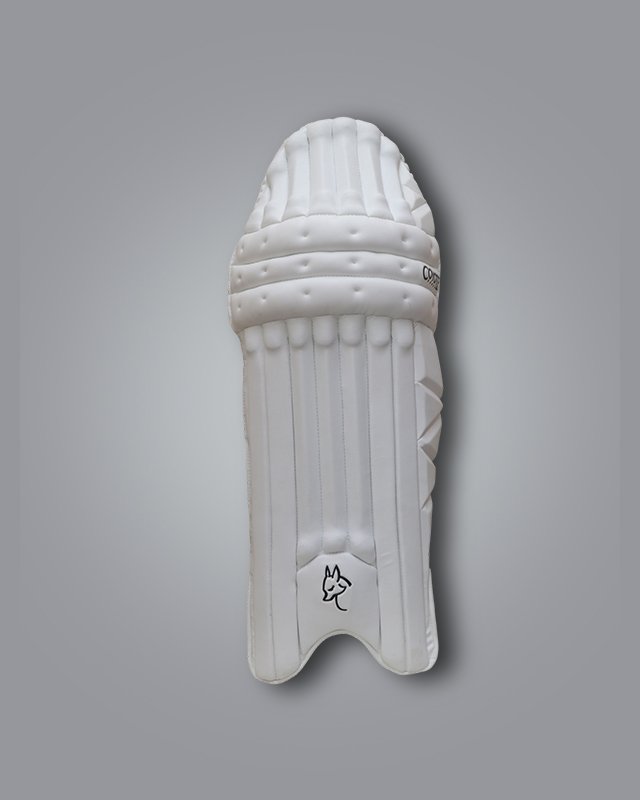 SALIENT BATTING PADS 